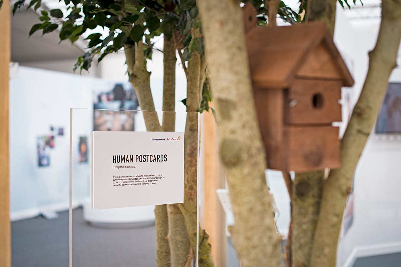 A sign reading Human Postcards is displayed among tree branches indoors, with a blurred wooden birdhouse hanging nearby and a bright exhibition space in the background, echoing the creativity seen in the AstraZeneca RNG partnership.