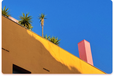 A yellow building with a pink chimney, spiky green plants on the roof, and a clear blue sky in the background looks like a contact collider of playful colors and textures.