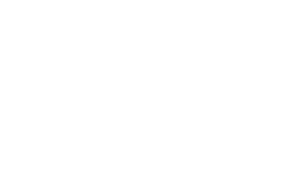 White text on a light gray background reads: The STRATA Group, with STRATA in bold, uppercase letters and The and Group in smaller, lighter text above and below.
