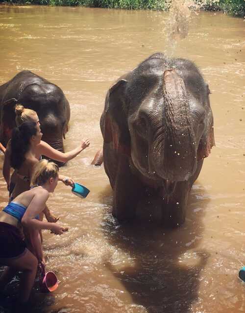 Two young women in swimsuits, joined by their marketing team, splash water on two elephants bathing in a muddy river, while one elephant sprays water from its trunk. Lush greenery forms the background.