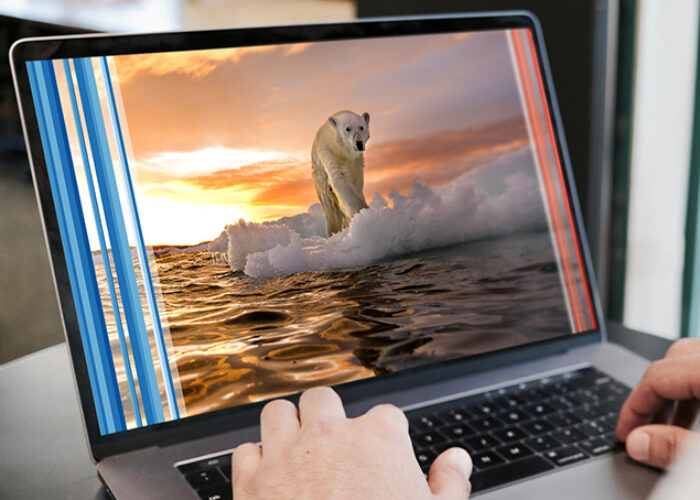 A person uses a laptop with a damaged screen displaying a polar bear standing on ice at sunset, colorful vertical lines distorting the image—a scene reminiscent of visuals from the Lyxor ETF case study.