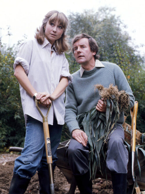 A woman stands holding a shovel next to a man, who sits on a wheelbarrow with a bundle of harvested plants—like a marketing team collaborating outdoors amid trees and greenery in a relaxed garden setting.